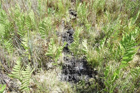  in GAINESVILLE FL OFF HWY 225 17.jpg