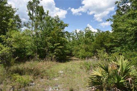  in GAINESVILLE FL OFF HWY 225 27.jpg