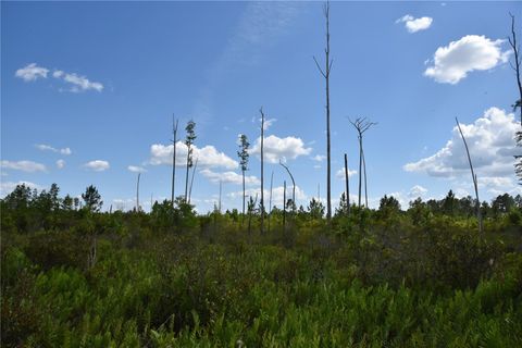  in GAINESVILLE FL OFF HWY 225 38.jpg