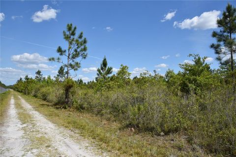  in GAINESVILLE FL OFF HWY 225 13.jpg