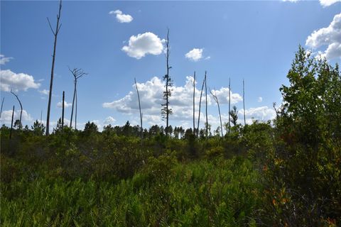  in GAINESVILLE FL OFF HWY 225 39.jpg
