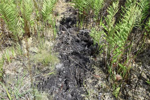  in GAINESVILLE FL OFF HWY 225 18.jpg