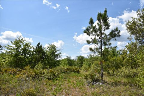  in GAINESVILLE FL OFF HWY 225 21.jpg