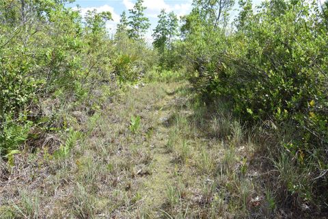 in GAINESVILLE FL OFF HWY 225 16.jpg