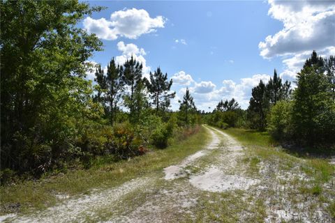  in GAINESVILLE FL OFF HWY 225 28.jpg
