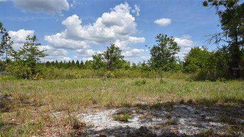  in GAINESVILLE FL OFF HWY 225 11.jpg
