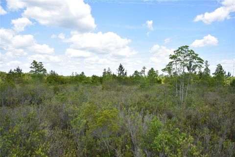  in GAINESVILLE FL OFF HWY 225 25.jpg