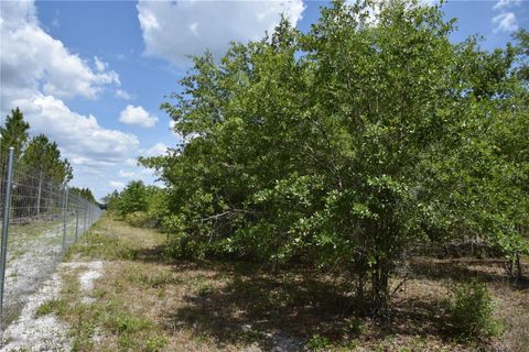  in GAINESVILLE FL OFF HWY 225 12.jpg
