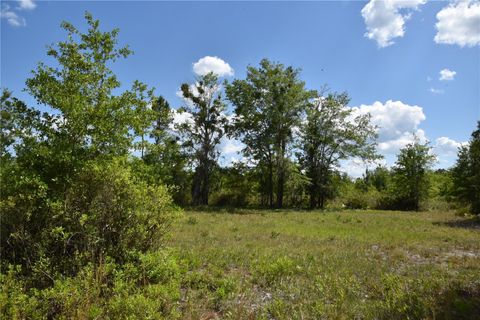  in GAINESVILLE FL OFF HWY 225 9.jpg