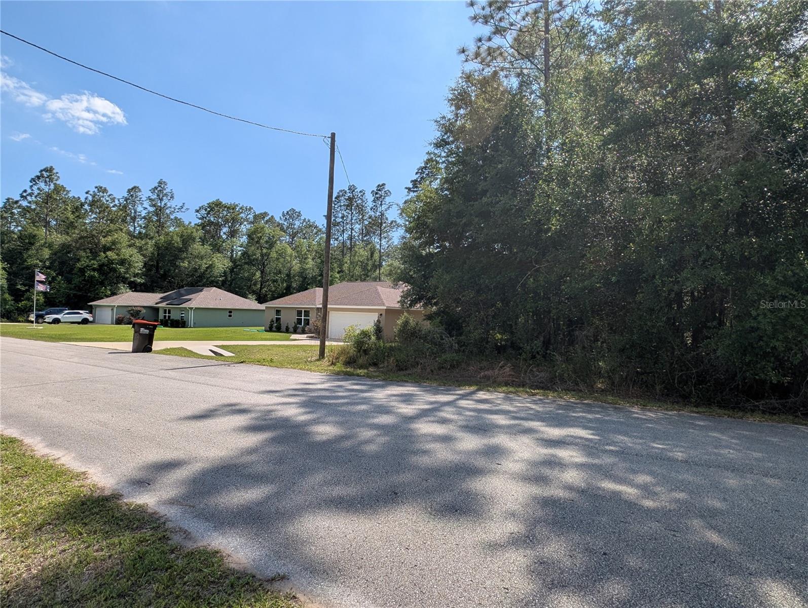 202nd Ct St, Dunnellon, FL 34431 photo