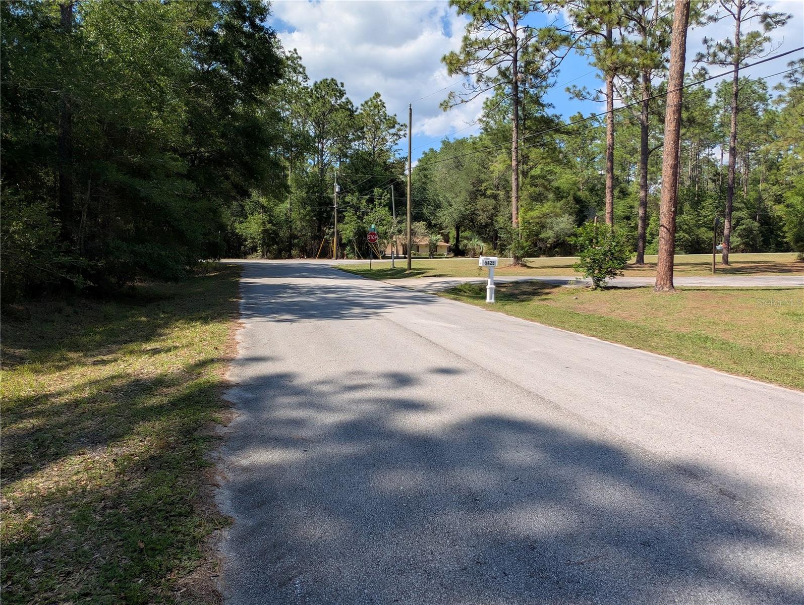 202nd Ct St, Dunnellon, FL 34431 photo