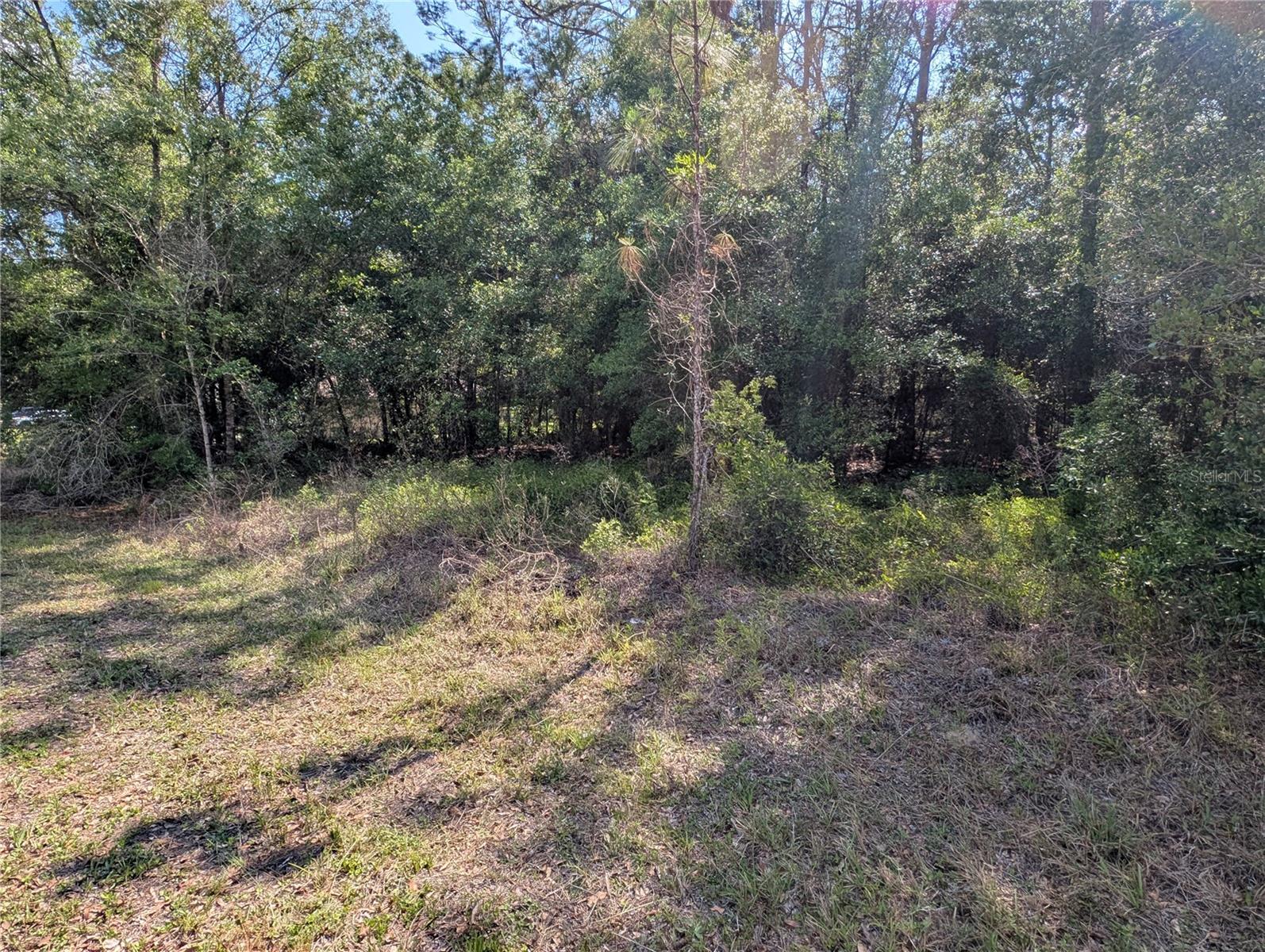 202nd Ct St, Dunnellon, FL 34431 photo