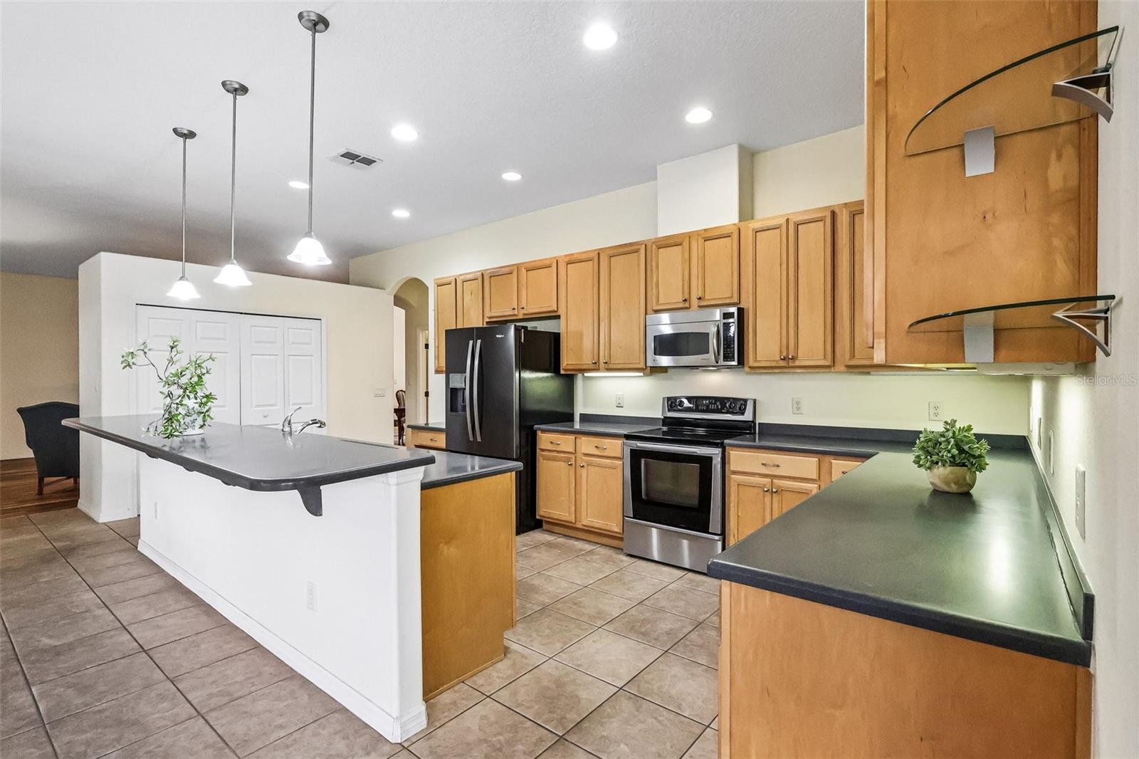3538 Mulberry Grove Loop, Leesburg, FL 34748 photo