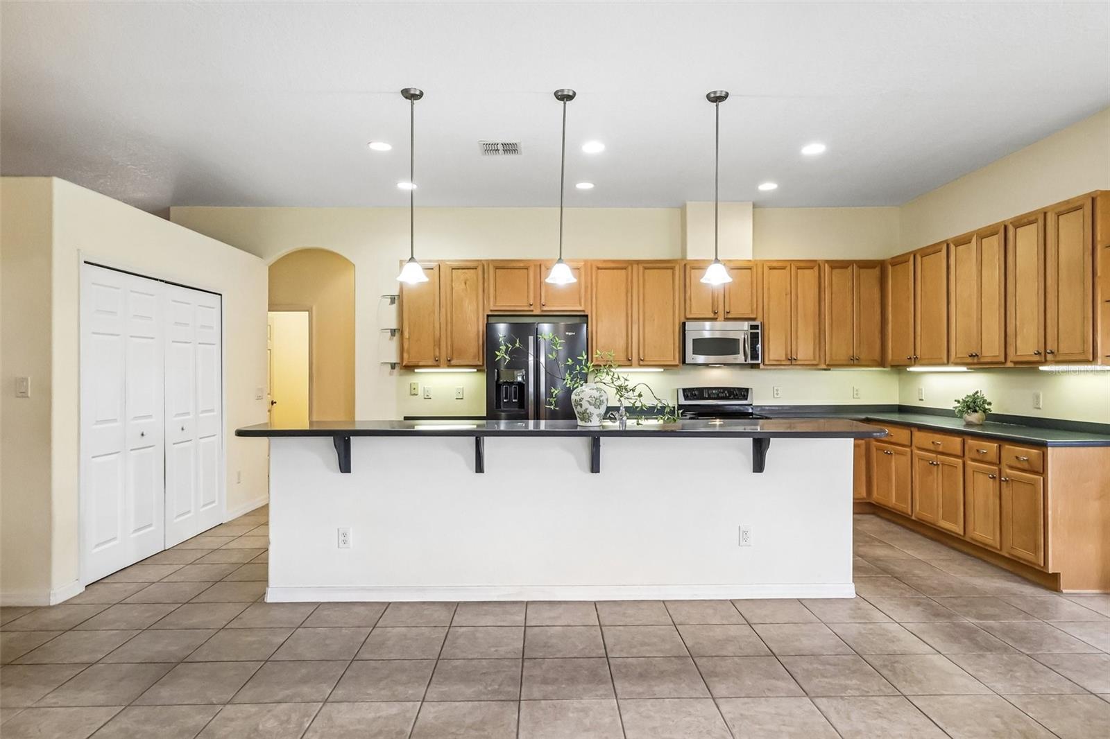 3538 Mulberry Grove Loop, Leesburg, FL 34748 photo