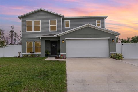 Single Family Residence in WELAKA FL 403 RIVER HILL DRIVE.jpg