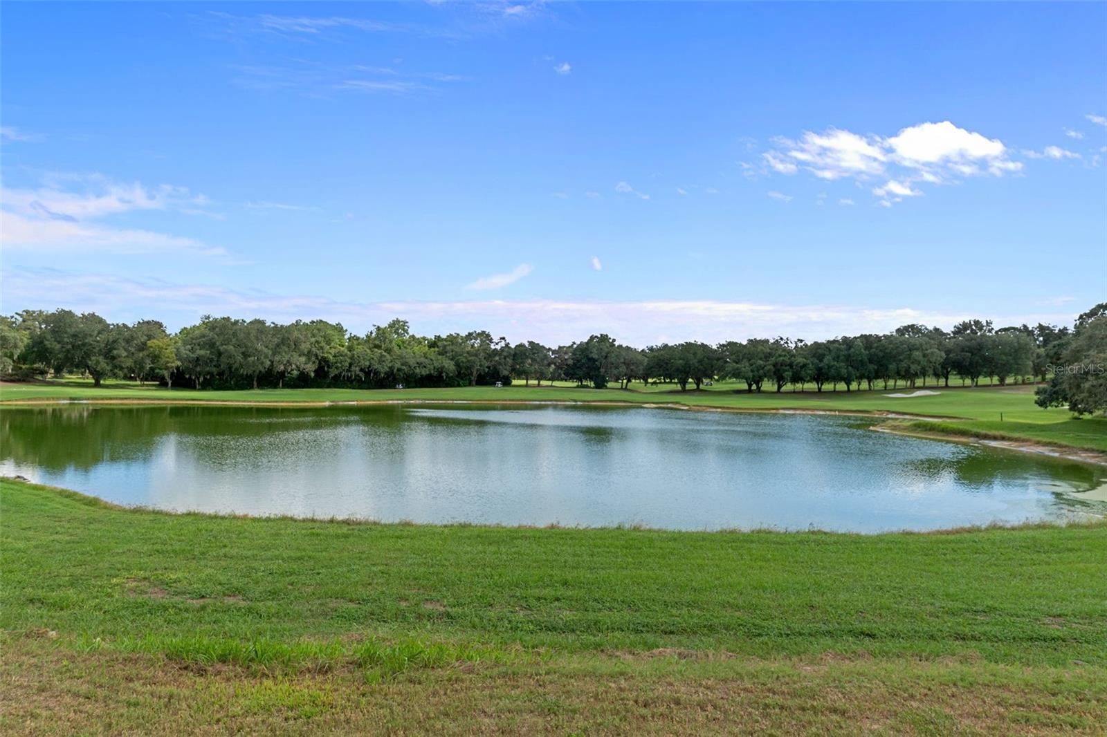 3215 N Pinelake Village Pt, Lecanto, FL 34461 photo