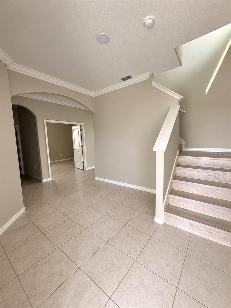 8882 Flourish Dr, Land O Lakes, FL 34637 photo