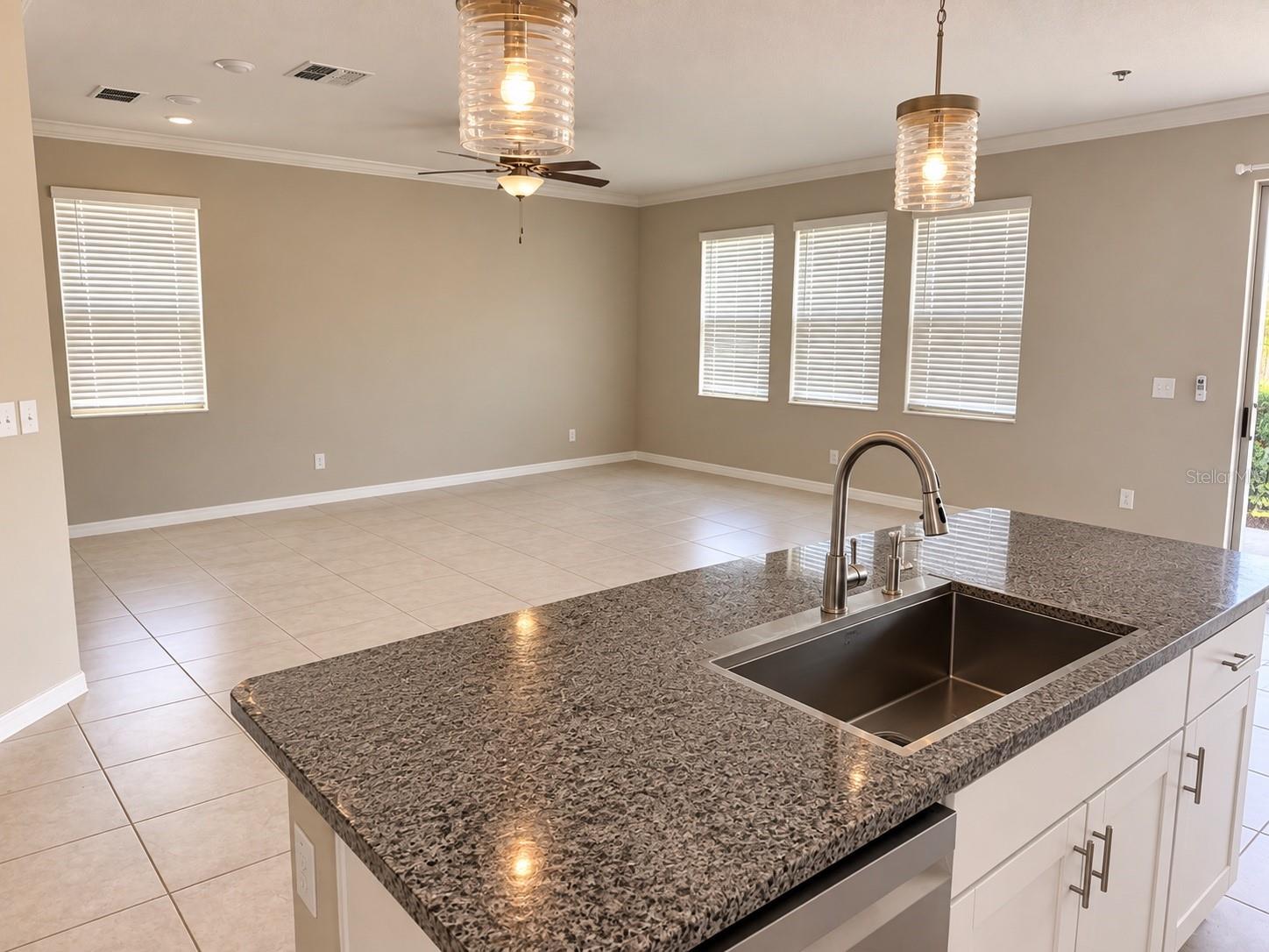 8882 Flourish Dr, Land O Lakes, FL 34637 photo