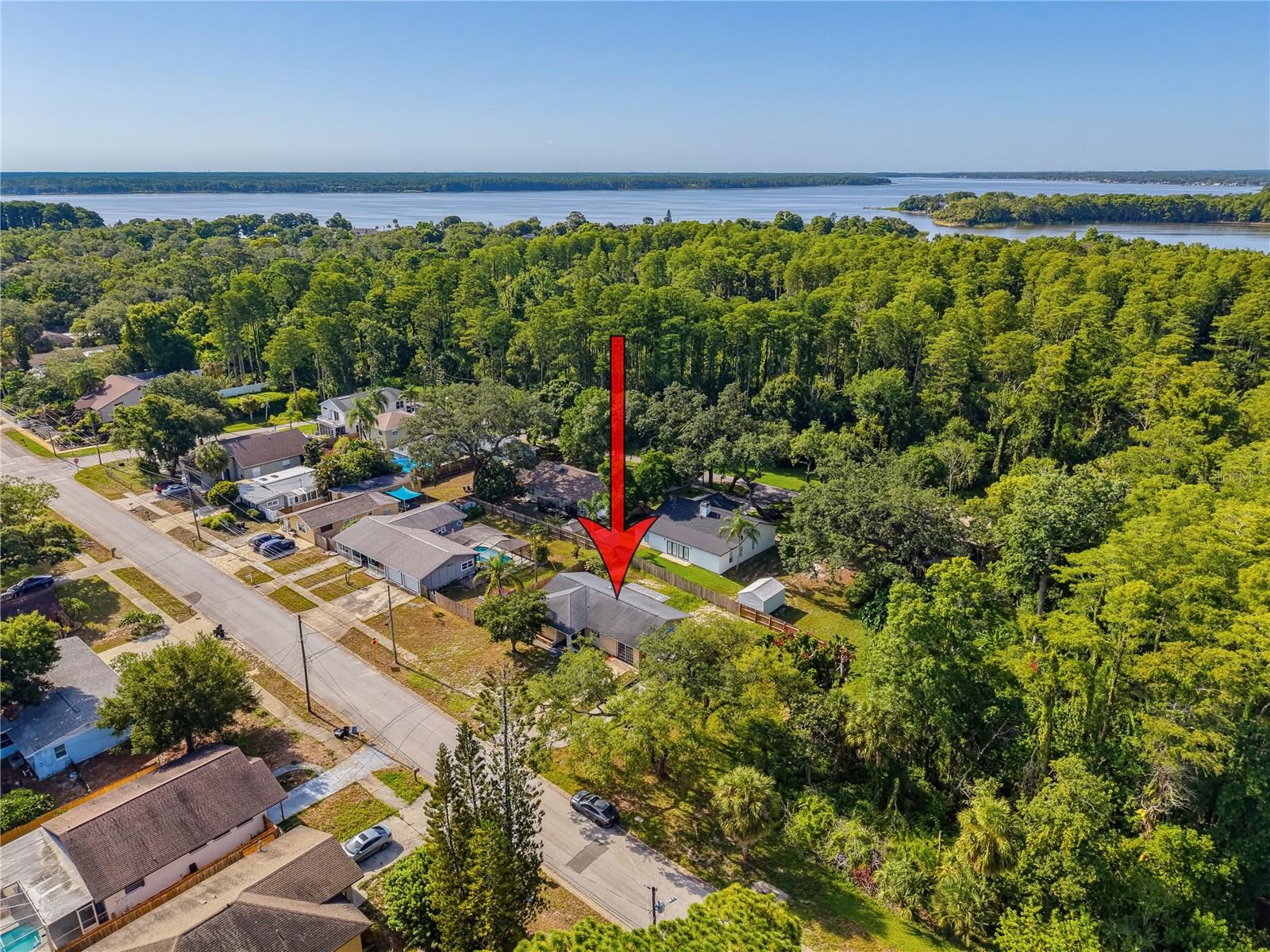 1116 E Oakwood St, Tarpon Springs, FL 34689 photo