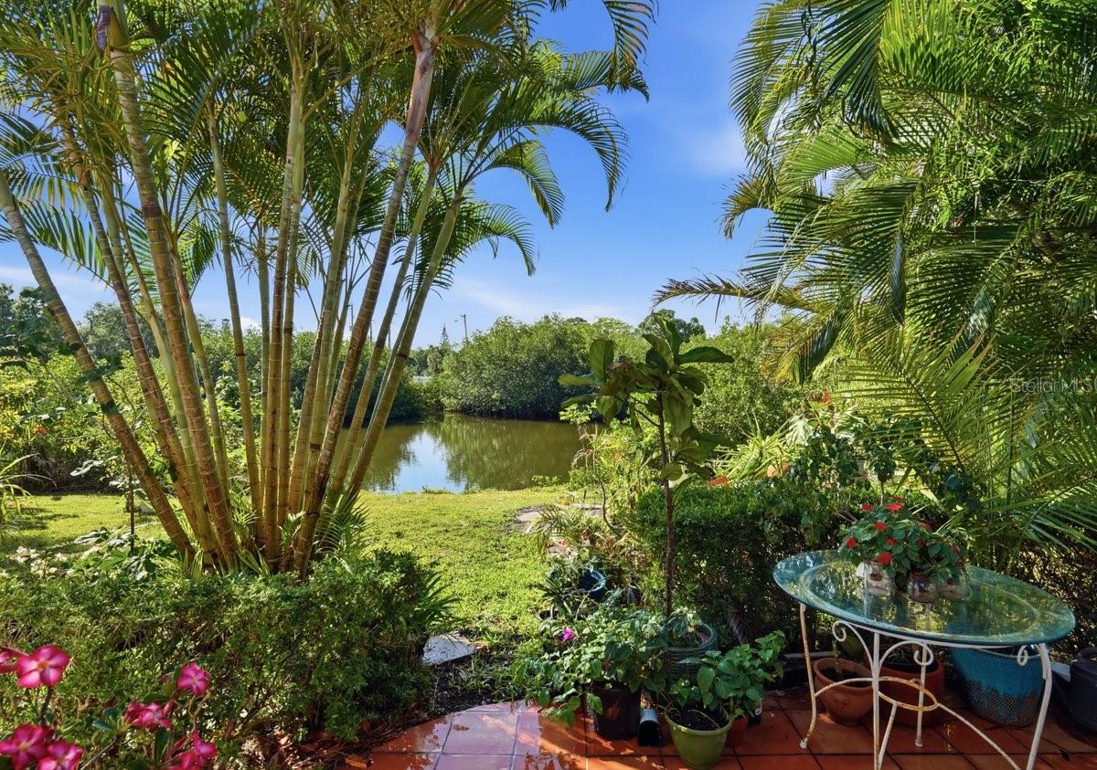6650 Hibiscus Ave, South Pasadena, FL 33707 photo
