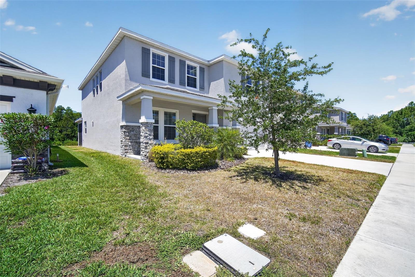 15394 Sweet Spring Bnd, Odessa, FL 33556 photo