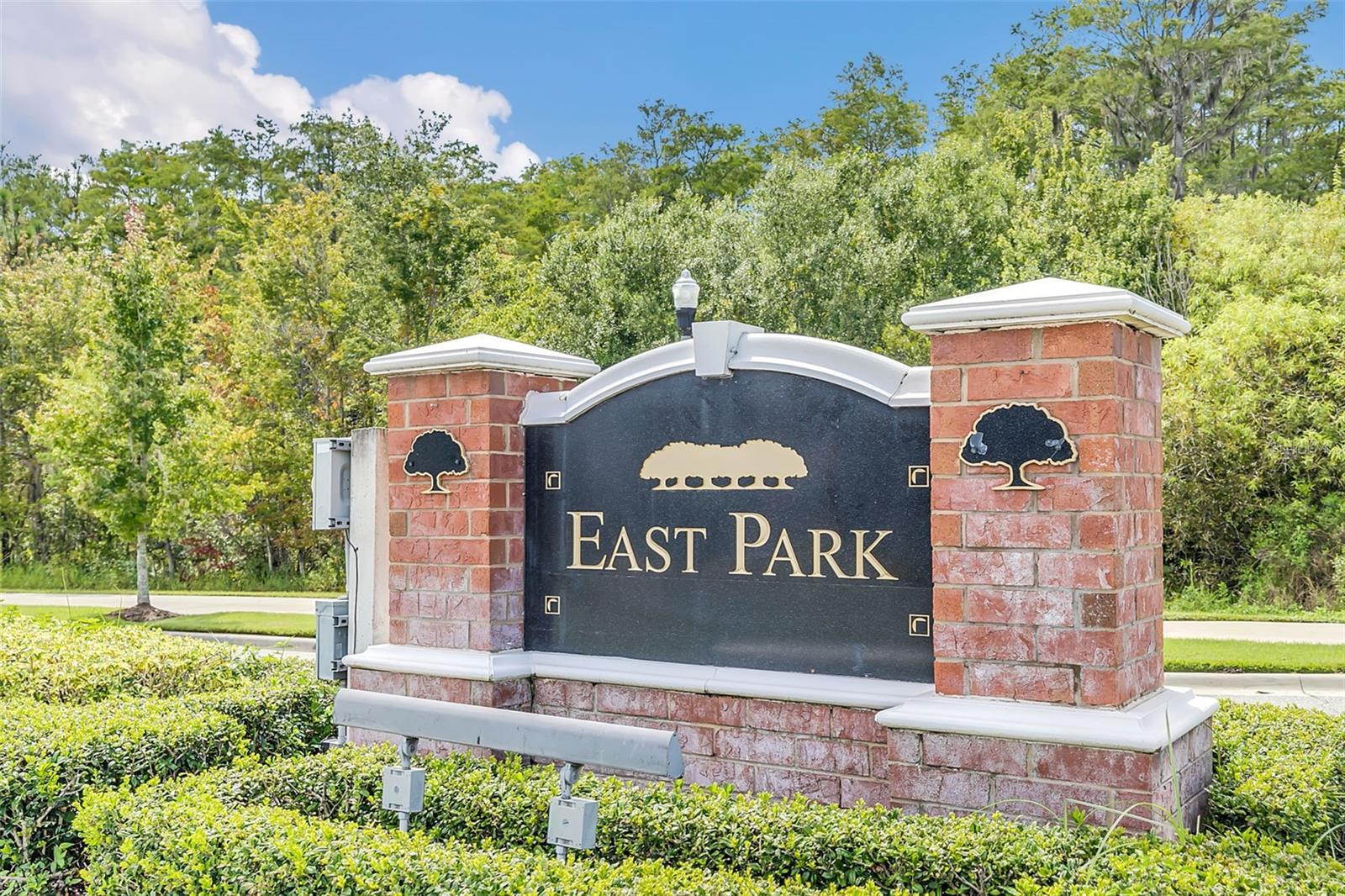 10558 Green Ivy Ln, Orlando, FL 32832 photo