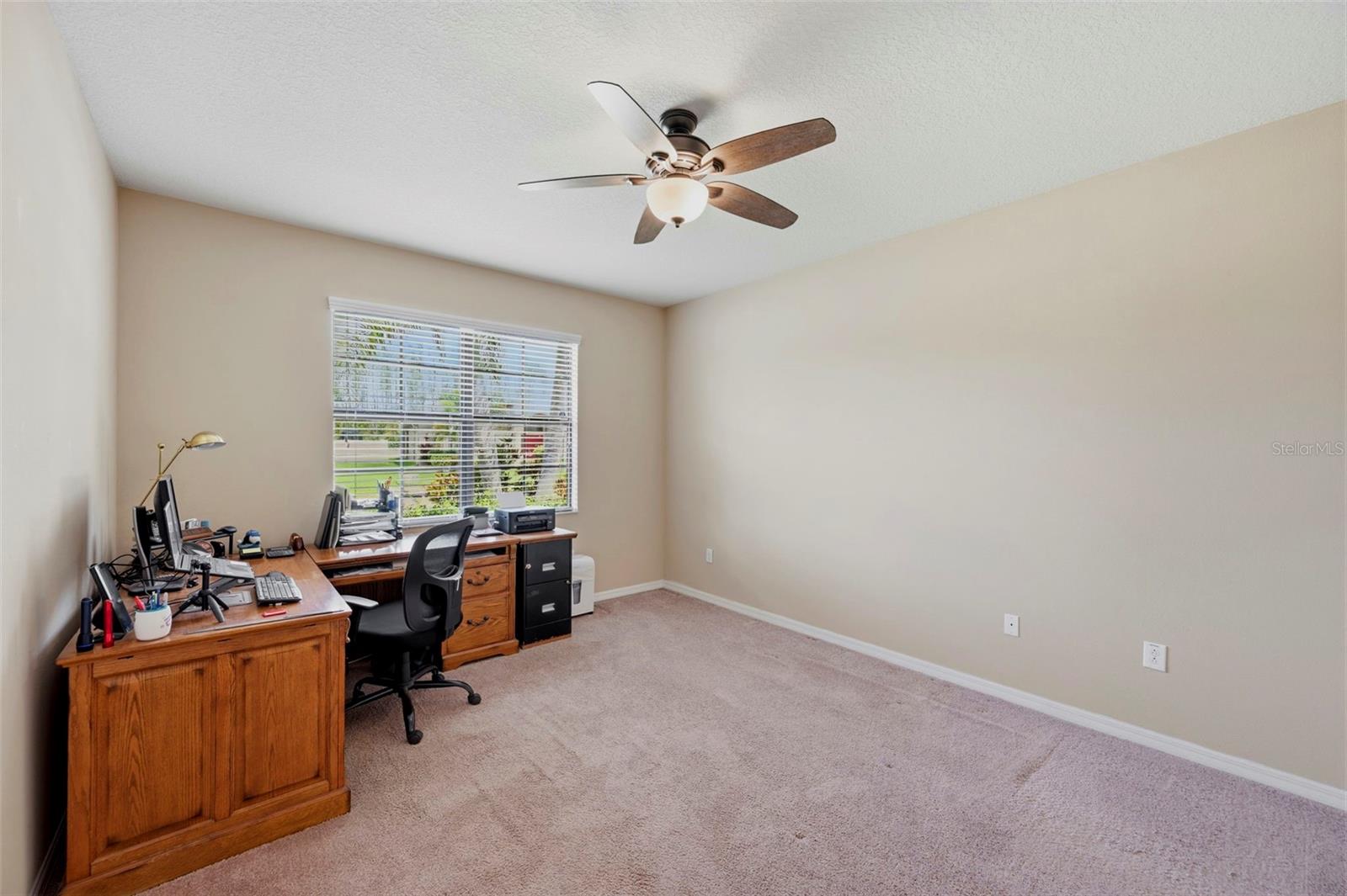 5009 Jagged Cloud Dr, Wimauma, FL 33598 photo