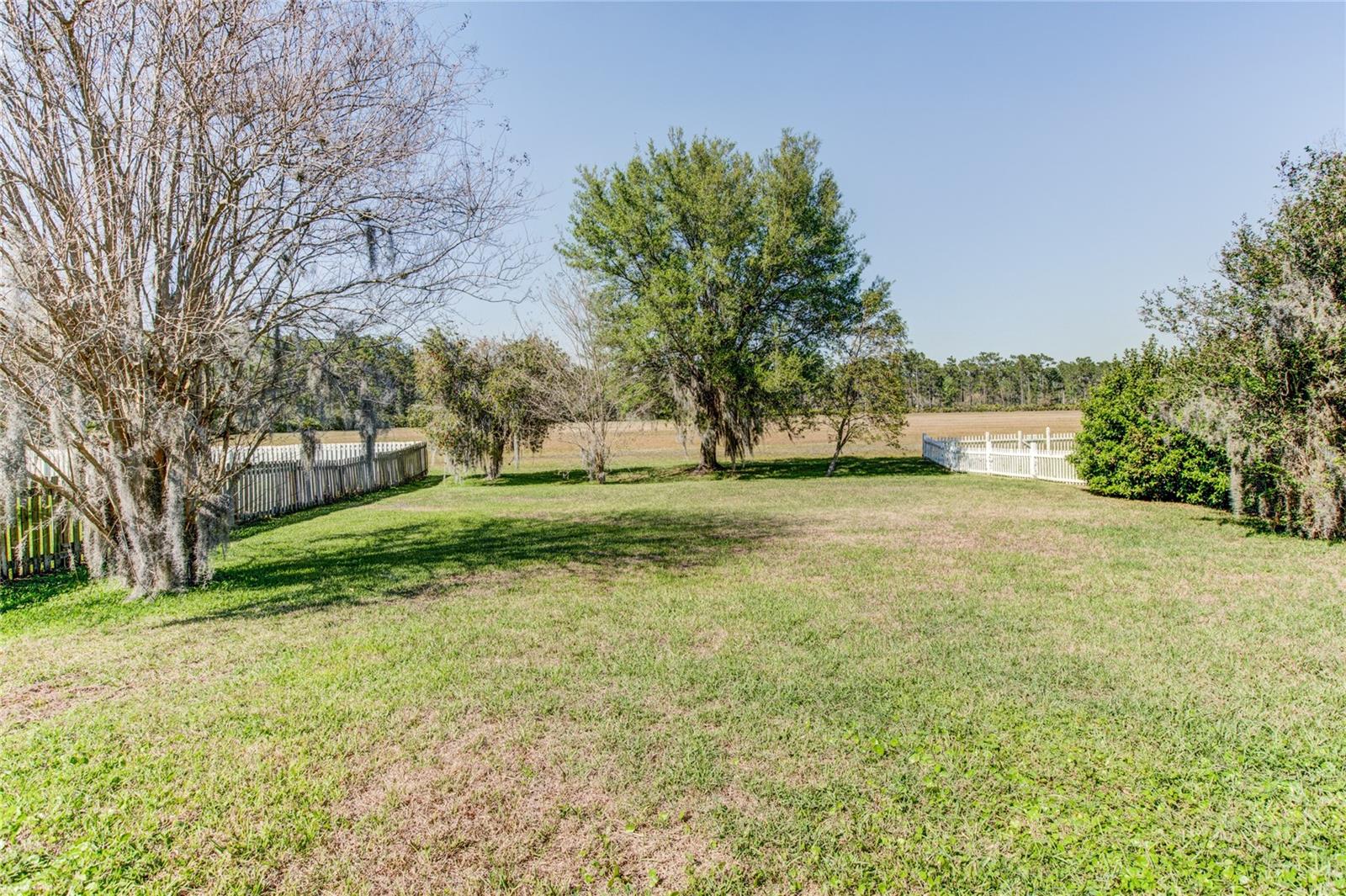 1551 Amaryllis Cir, Orlando, FL 32825 photo