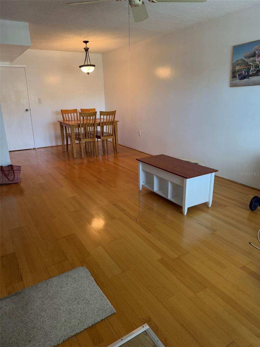 8100 Doctor Martin Luther King St #208, Saint Petersburg, FL 33702 photo