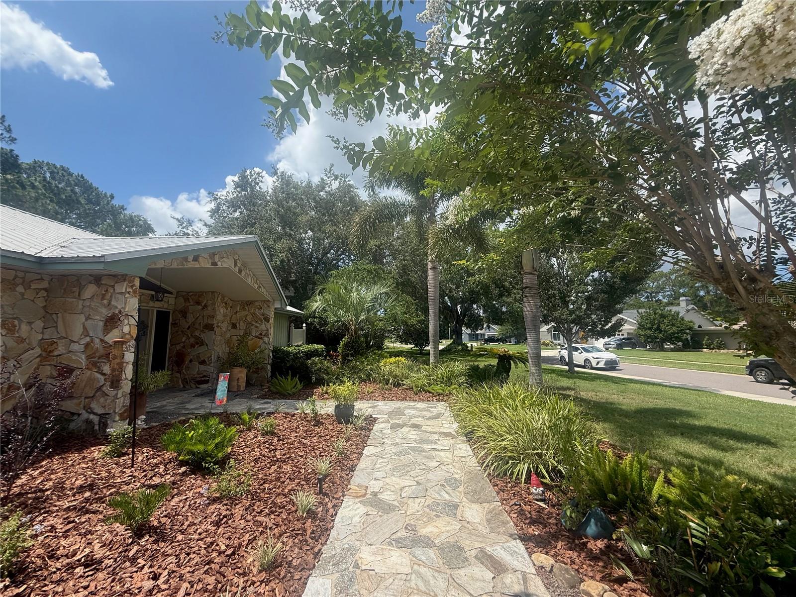 2215 Toniwood Ln, Palm Harbor, FL 34685 photo