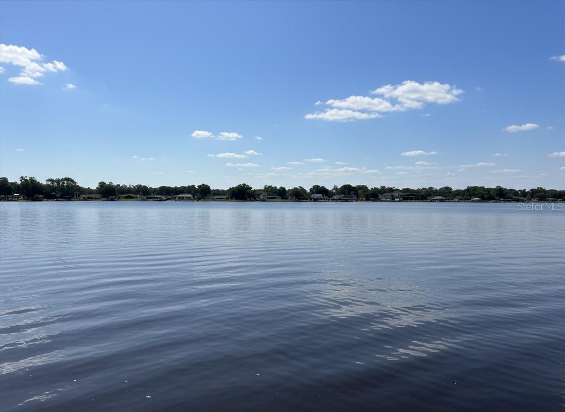 3704 Swans Landing Dr, Land O Lakes, FL 34639 photo