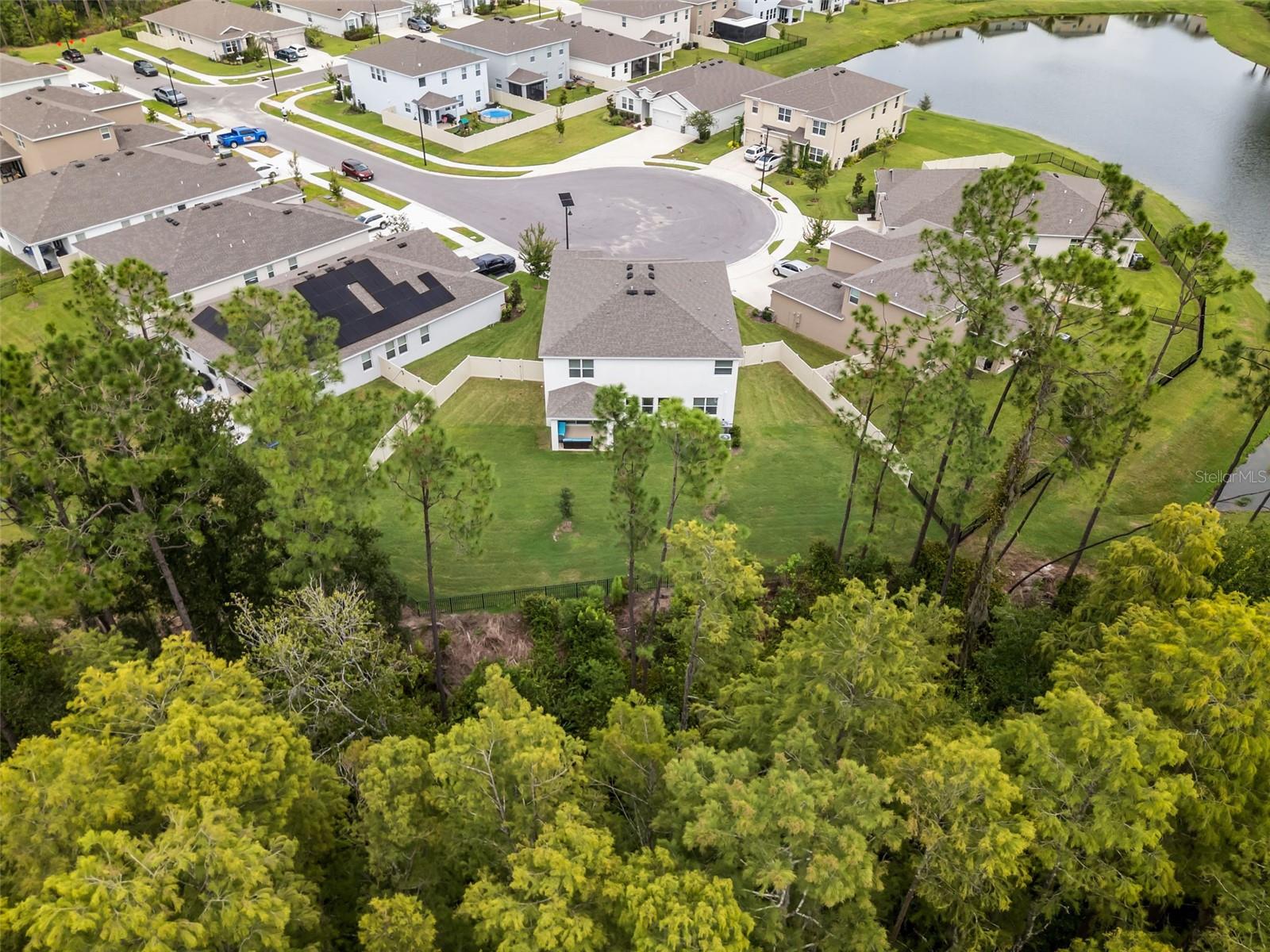 6847 Daintree Ct, Land O Lakes, FL 34638 photo
