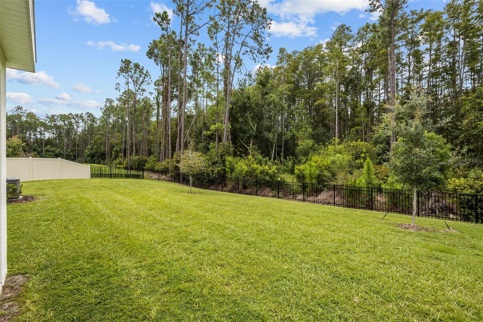 6847 Daintree Ct, Land O Lakes, FL 34638 photo