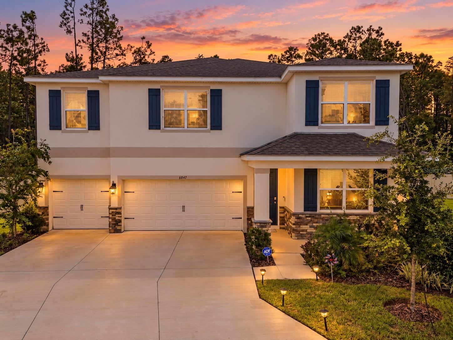 6847 Daintree Ct, Land O Lakes, FL 34638