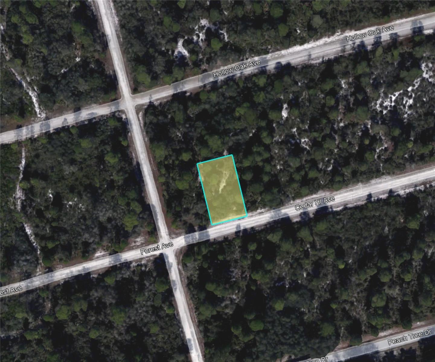 3049 Cedar Hill Ave, Lake Placid, FL 33852 photo