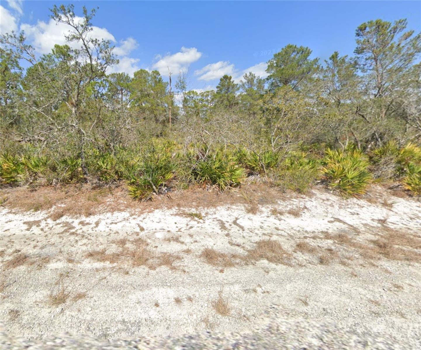 3049 Cedar Hill Ave, Lake Placid, FL 33852 photo