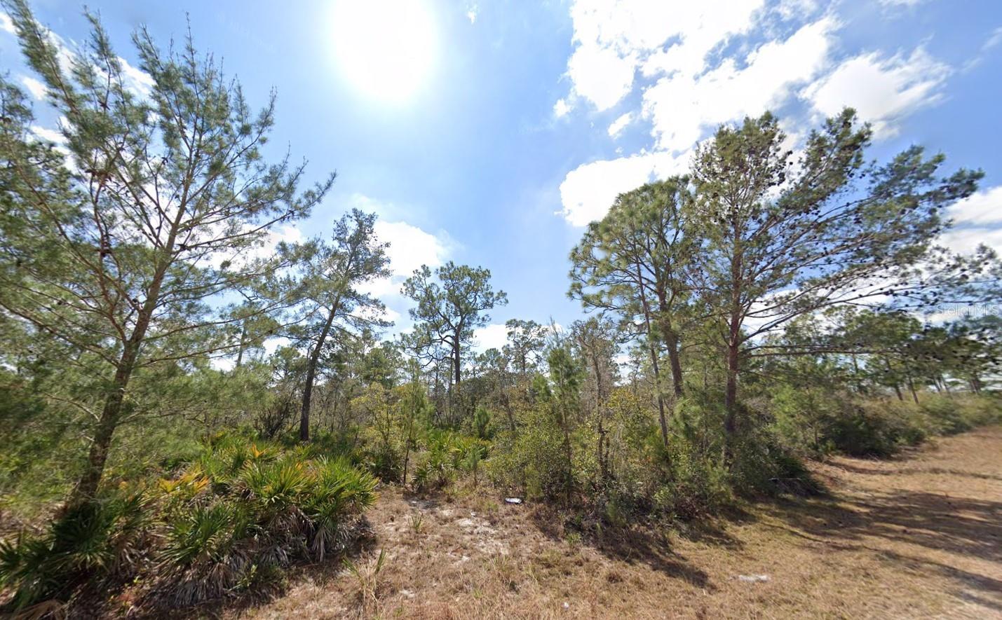 3049 Cedar Hill Ave, Lake Placid, FL 33852