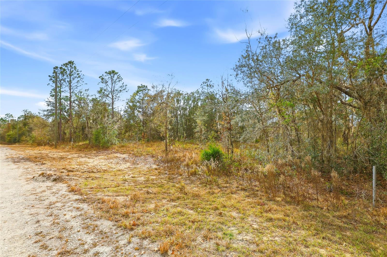 Cayman Rd, Weeki Wachee, FL 34614 photo