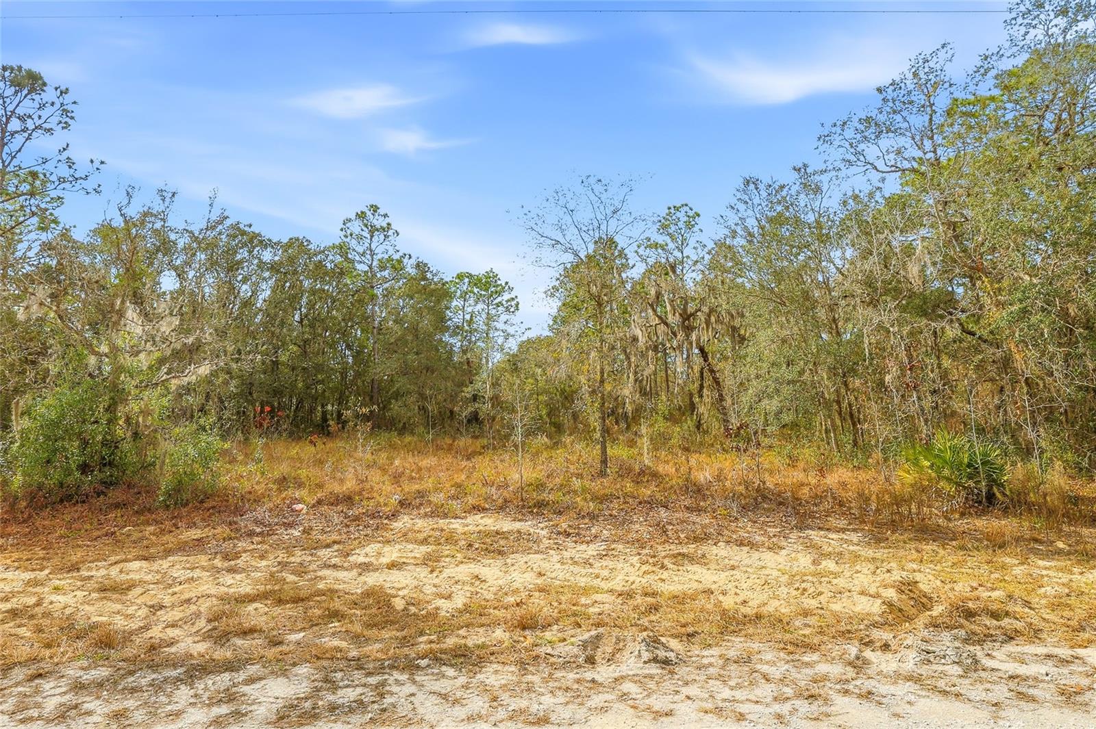 Cayman Rd, Weeki Wachee, FL 34614 photo