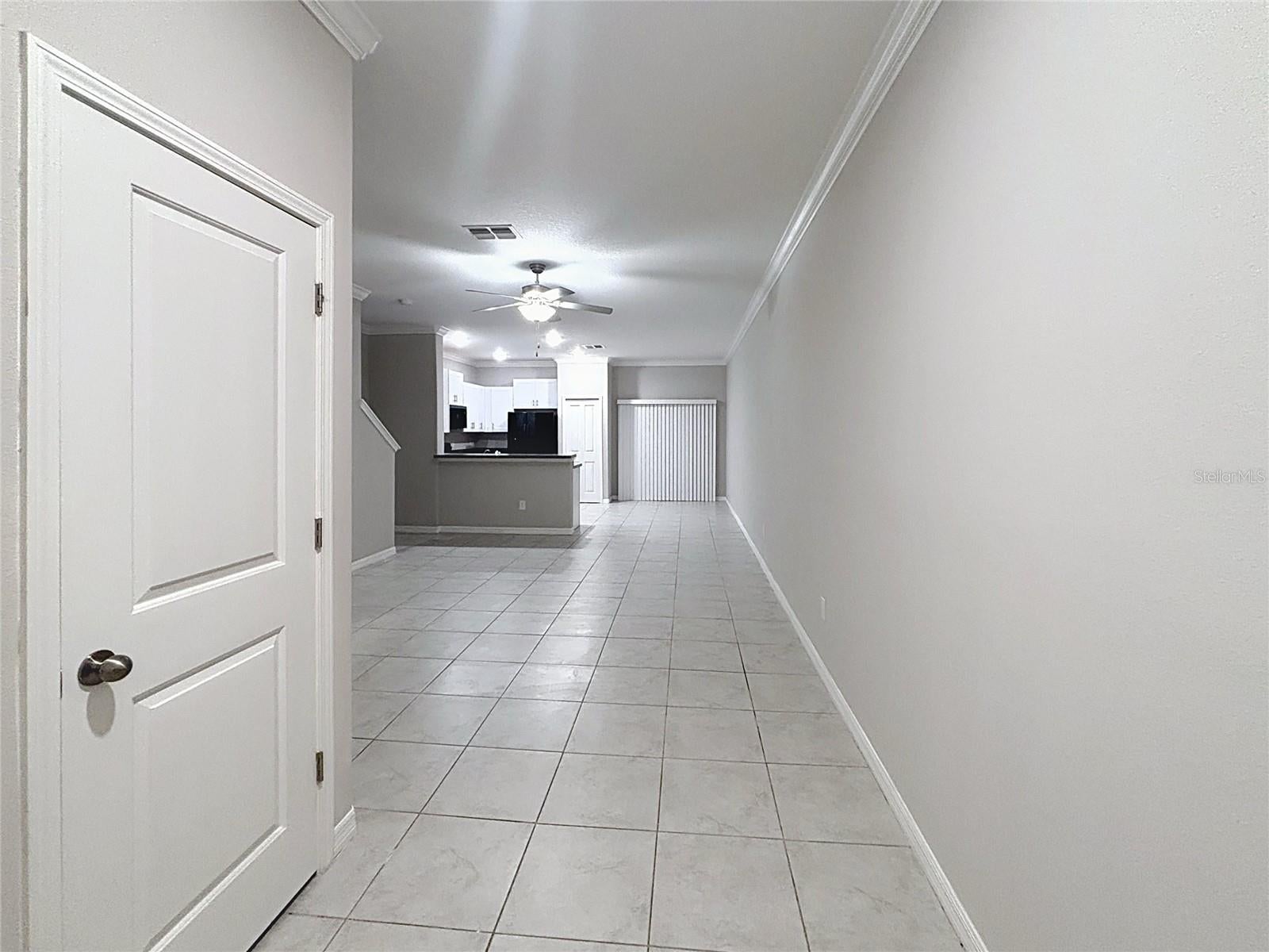 1509 Cassius St, Lutz, FL 33549 photo