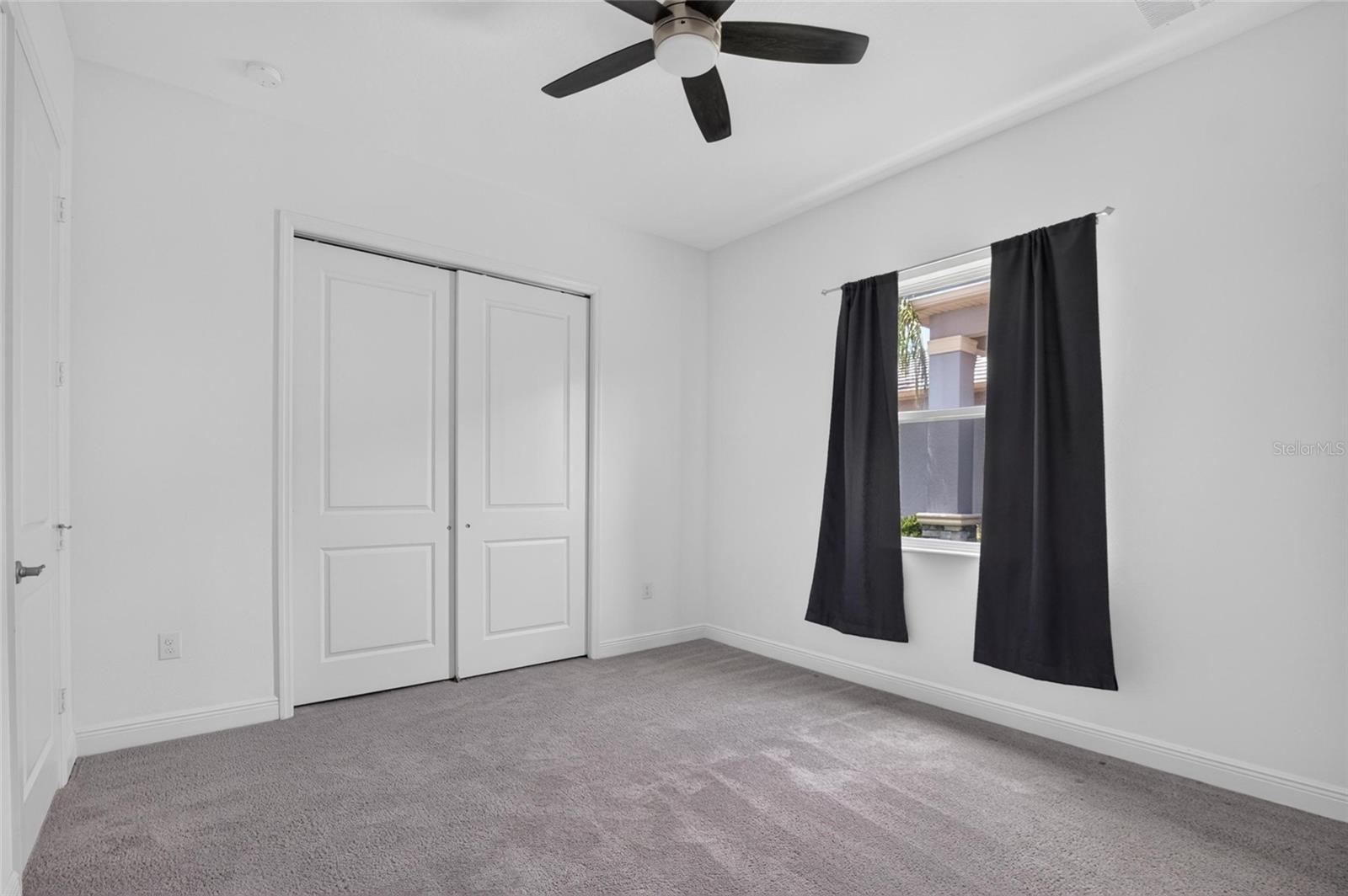31142 Lindentree Dr, Wesley Chapel, FL 33543 photo
