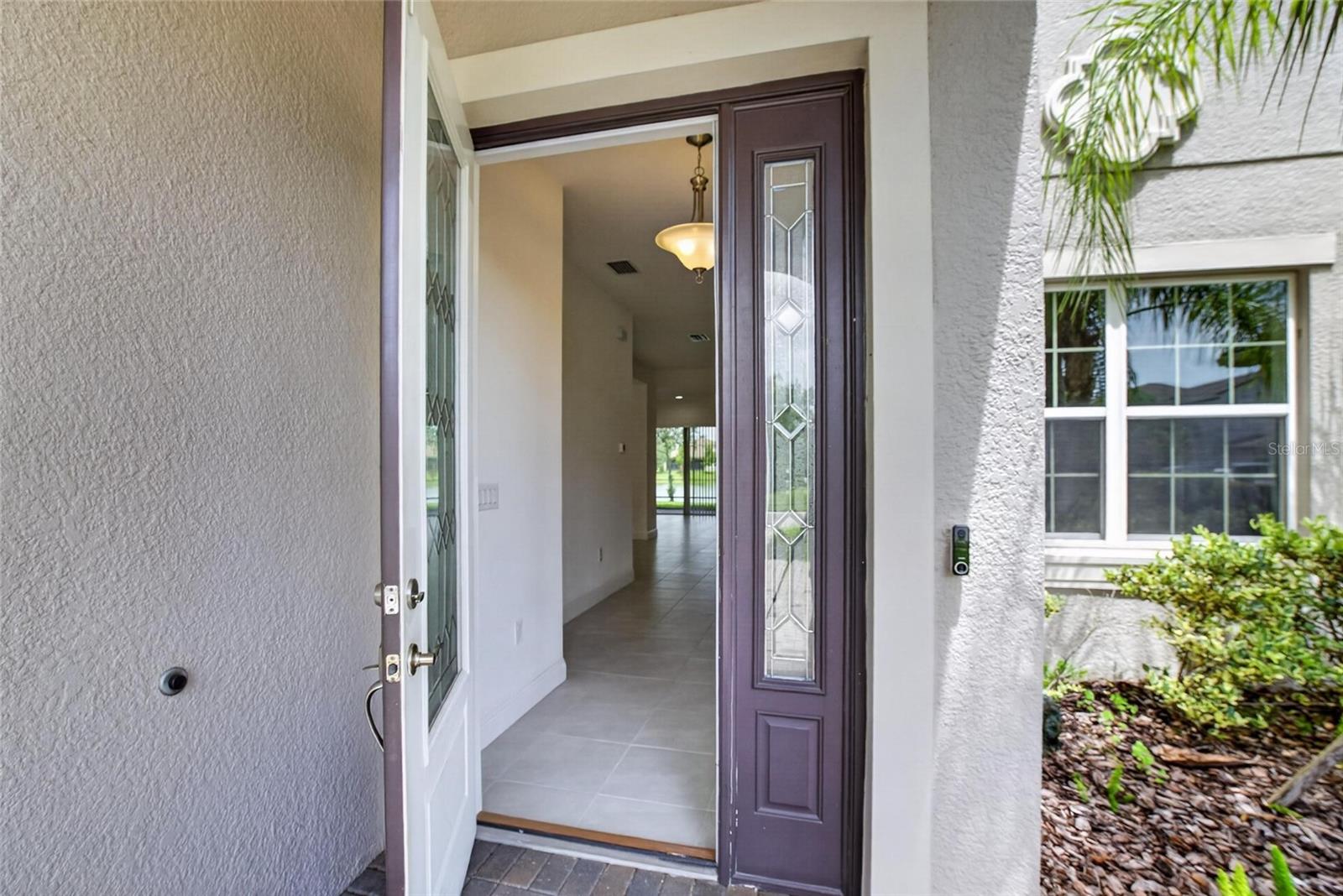 31142 Lindentree Dr, Wesley Chapel, FL 33543 photo