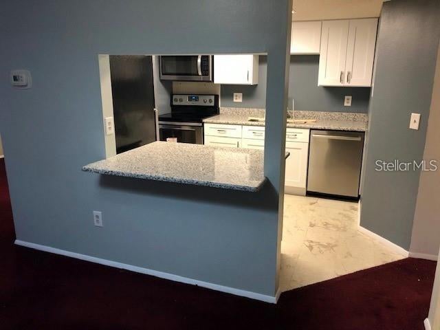 124 Loblolly Ct, Oldsmar, FL 34677 photo