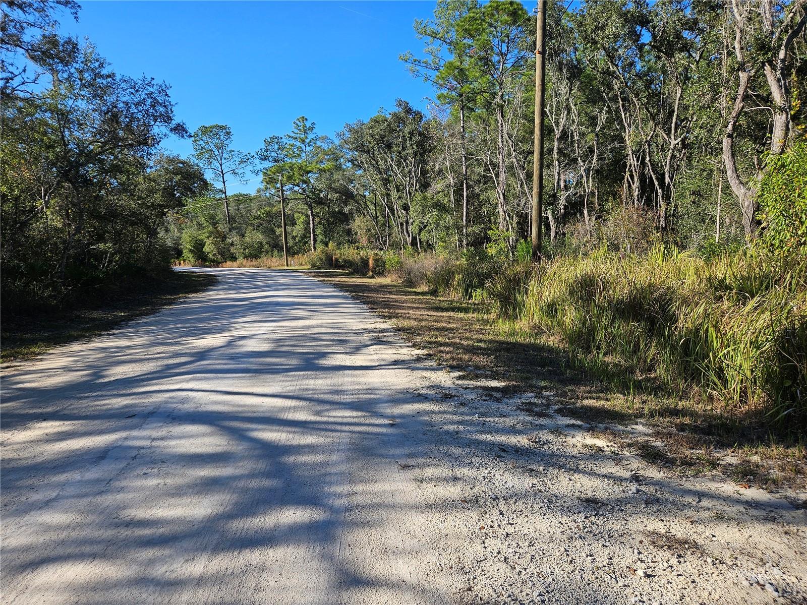 Berryhill Dr, Webster, FL 33597 photo