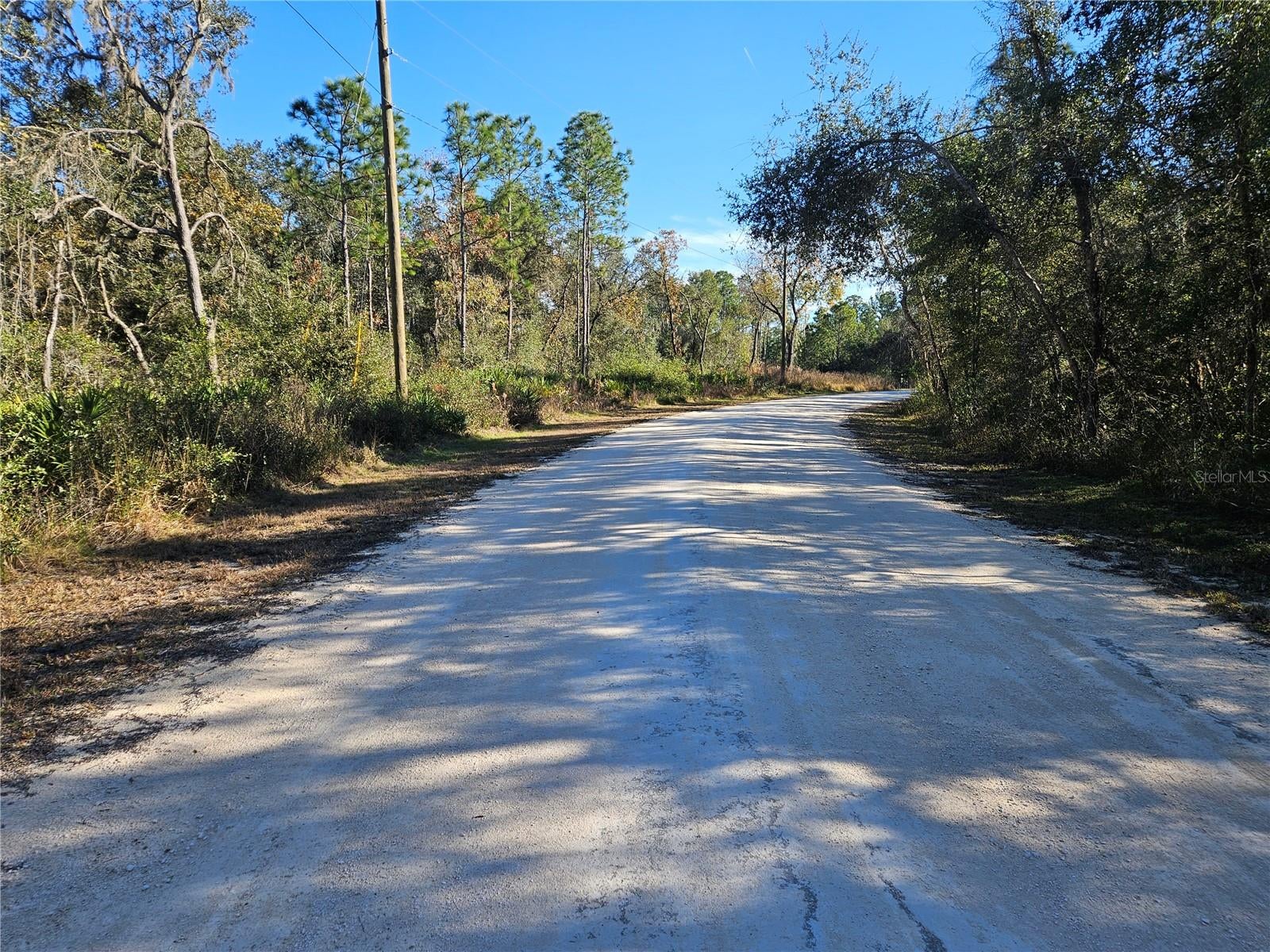 Berryhill Dr, Webster, FL 33597 photo