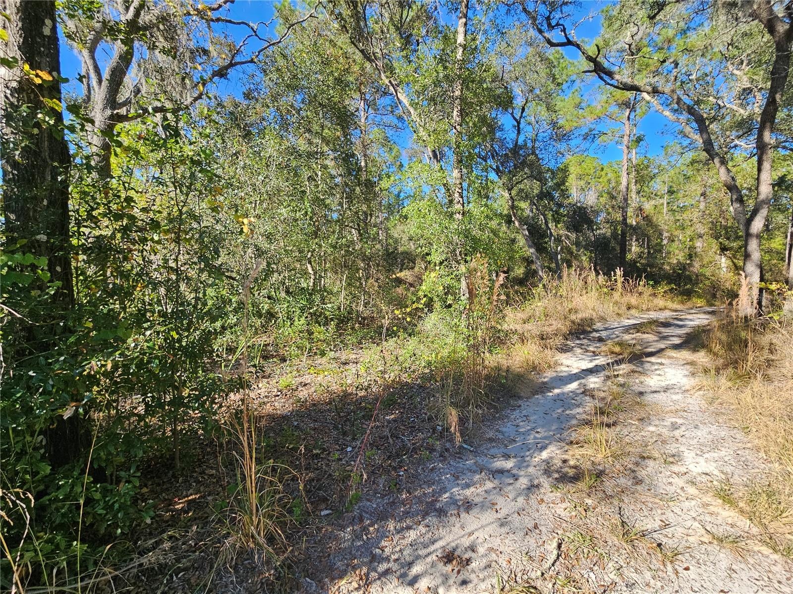 Berryhill Dr, Webster, FL 33597 photo
