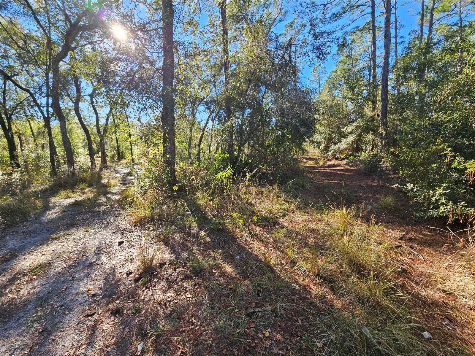 Berryhill Dr, Webster, FL 33597 photo