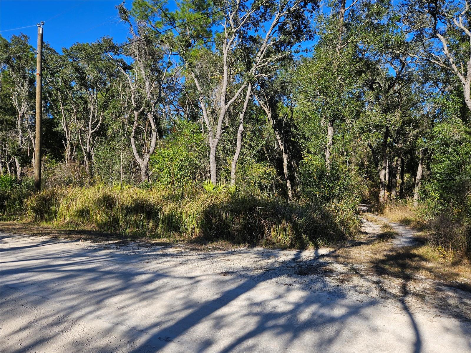 Berryhill Dr, Webster, FL 33597