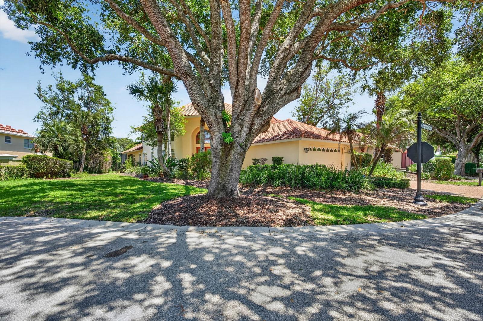 10 Monterrey Dr, Palm Coast, FL 32137 photo