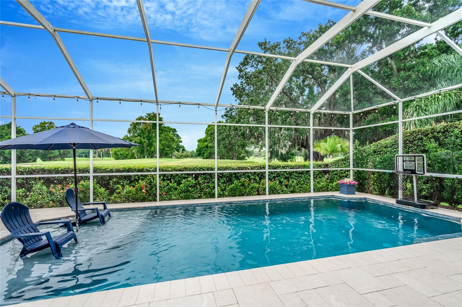 16214 Muirfield Dr, Odessa, FL 33556 photo